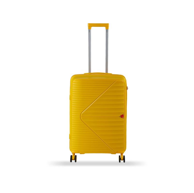 Valise PP2 Valise PP2