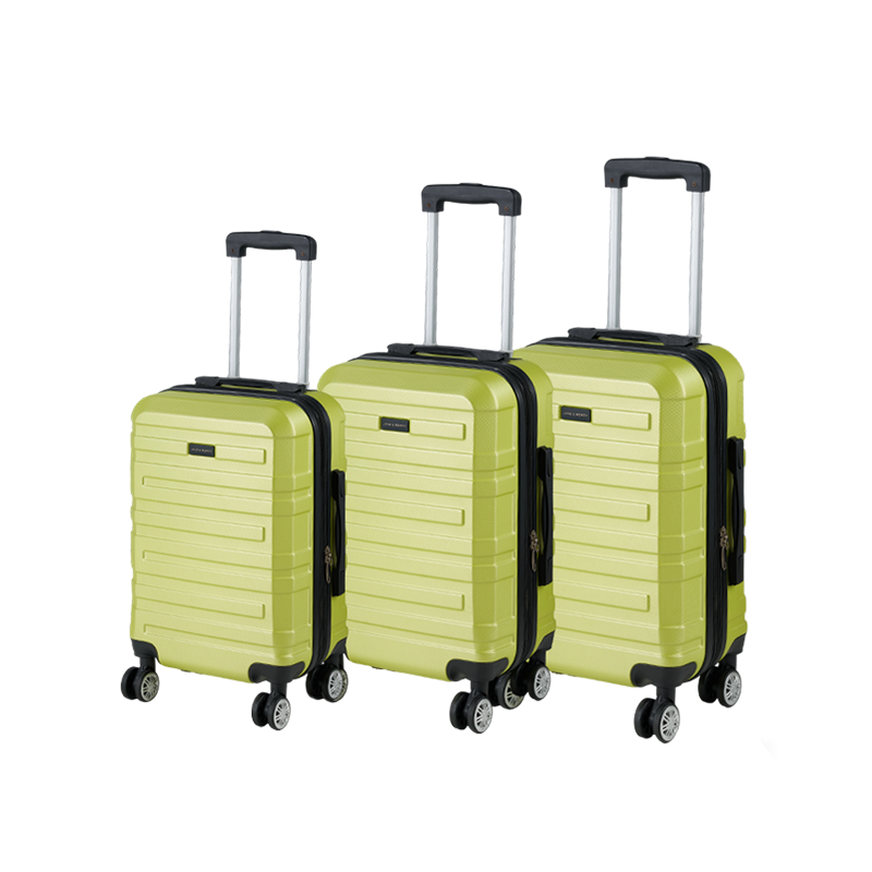 8033 VALISE ABS