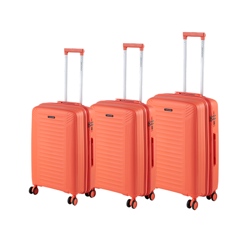 Valise PP10 Valise PP10