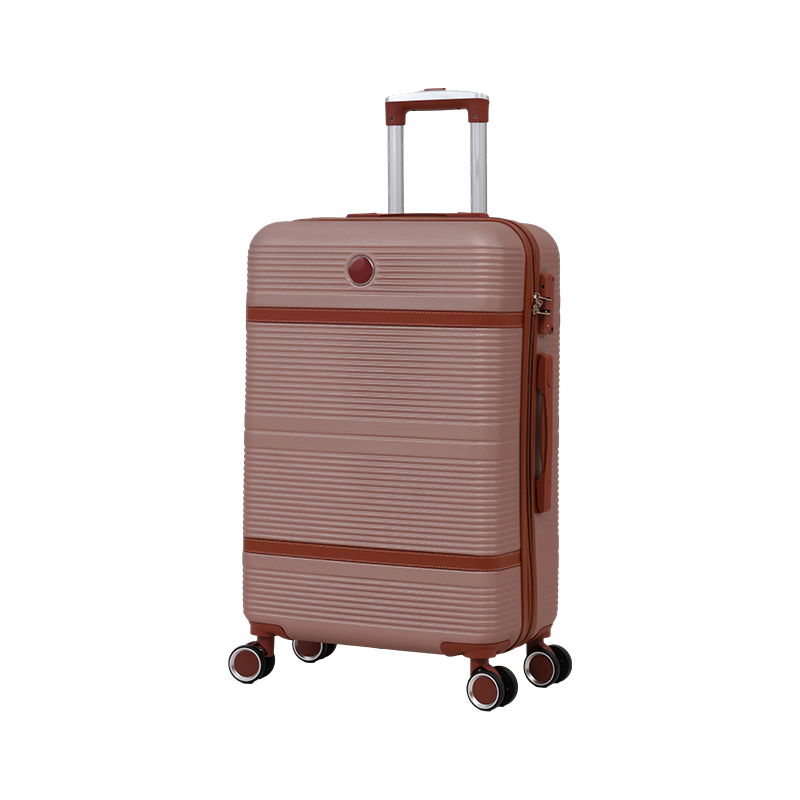 Bagages ABS : évaluation de la durabilité pour les voyages enregistrés