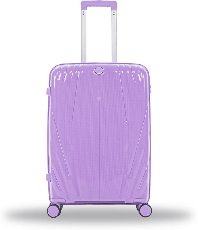 Valise PP